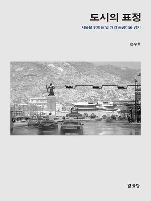 cover image of 도시의 표정 : 서울을 밝히는 열 개의 공공미술 읽기